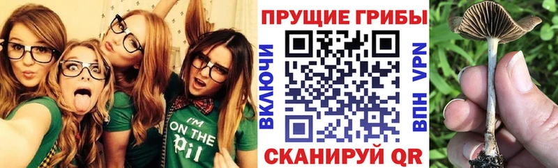 Галлюциногенные грибы ЛСД  Купить  Аткарск 